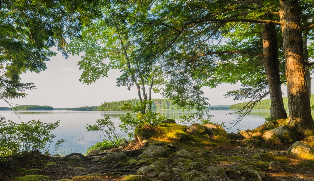 Kejimkujik National Park Kanada